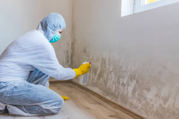 Licensed Mold Cleanup service in Kilmarnock, VA - WQB Mold Removal