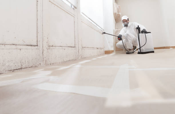 24/7 Emergency Mold Cleanup experts in Kilmarnock, VA