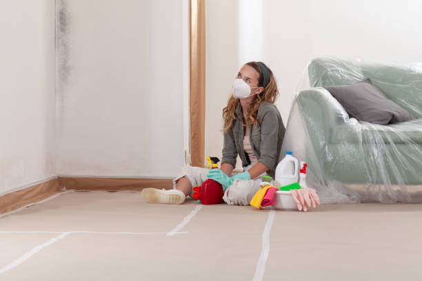 Reliable Mold Cleanup contractor in Kilmarnock, VA by WQB Mold Removal